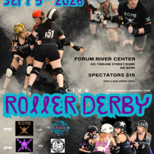 Roller Derby rome ga